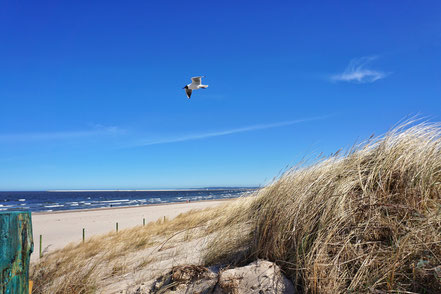 Kururlaub an der polnischen Ostseeküste in Swinemünde