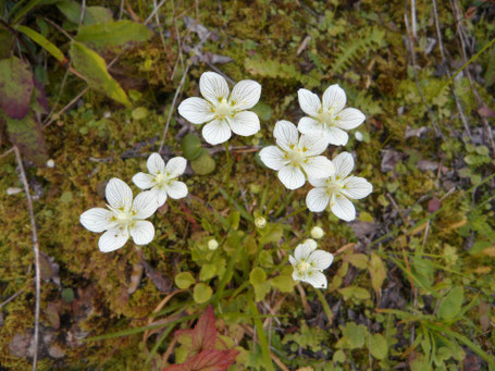 Weißenstadt Informationen